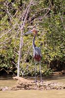 Bootsfahrt auf dem St. Lucia See
