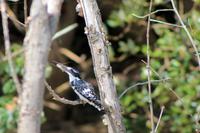 Bootsfahrt auf dem St. Lucia See