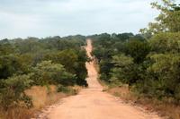 Krüger-Nationalpark