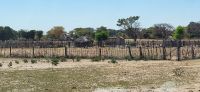 95  Siedlung Richtung Rundu