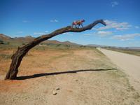 04_ZÜ Hammerstein Lodge (3)