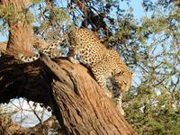 04_ZÜ Hammerstein Lodge (5)