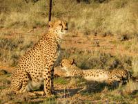 04_ZÜ Hammerstein Lodge (7)