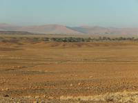 05_Namib Naukluft Nationalpark (15)