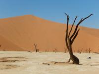 05_Namib Naukluft Nationalpark (25)