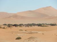 05_Namib Naukluft Nationalpark (26)