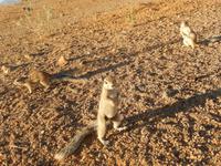 05_ZÜ Namib Naukluft Lodge  (2)