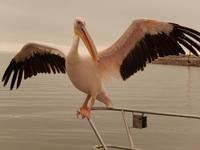 07_Catamaran Fahrt im Atlantik (1)