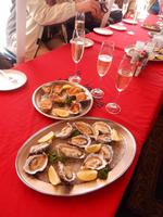 07_Catamaran Fahrt im Atlantik (5)