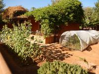 09_ZÜ Gartenidylle Damara Mopane Lodge (2)