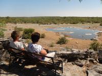 11_Tiere im Etosha Nationalpark (11)