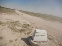 12_Tiere im Etosha Nationalpark (1)