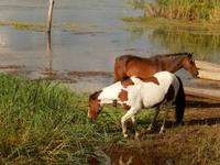 13_ZÜ Kaisosi River Lodge (1)