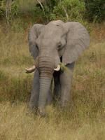 16_Weiterfahrt in den Chobe Nationalpark (5)