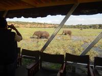 17_Botswana Chobe Nationalpark (13)