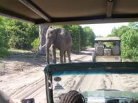 17_Botswana Chobe Nationalpark (21)