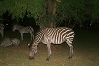 Abends im Resort
