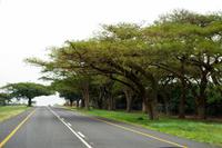 Akazienallee