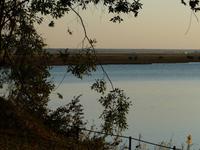 Am Chobe Fluss