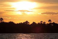 Am Zambezi-Fluss