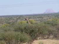 Ameib Ranch