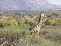 Ameib Ranch