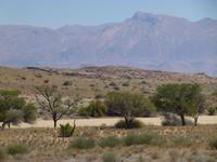 Ameib Ranch