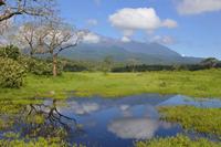 Arusha mt meru