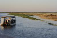 Auf dem Chobe