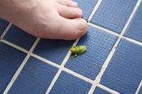Besuch am Pool