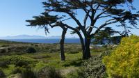 Blick auf die False Bay