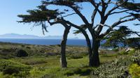 Blick auf die False Bay