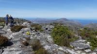 Blick vom Tafelberg