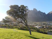 Blick zum Tafelberg
