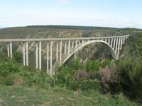 Blue Crains Bridge