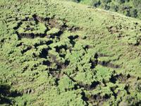 Bodenerrosion im Simien