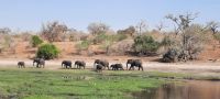 Bootsfahrt auf dem Chobe
