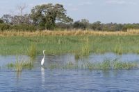Bootsfahrt auf dem Okavango