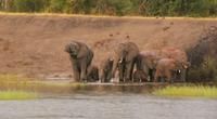 Bootsfahrt auf dem Zambezi (5)