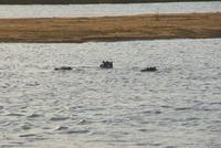 Bootssafari.J (3)