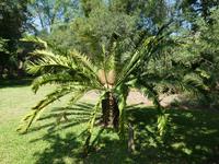 Botanischer Garten