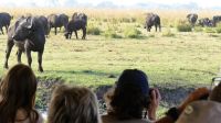 Botswana - Bootsfahrt auf dem Chobe