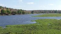 Botswana - Bootsfahrt auf dem Chobe