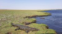 Botswana - Bootsfahrt auf dem Chobe