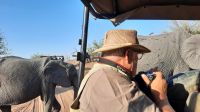 Botswana - Pirschfahrt im Chobe - mittendrin