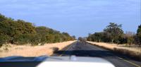 Botswana - Transit durch den Chobe NP