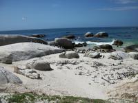 Boulders Beach