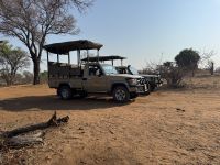 Buffalo Game Drive