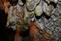 Cango Caves
