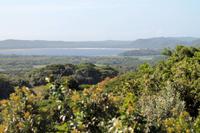 Cape Vidal